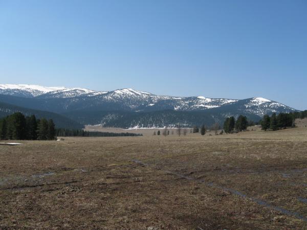 IMG_0610.JPG