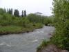 s1052052_t1.jpg