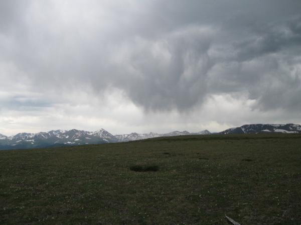 IMG_0035.JPG