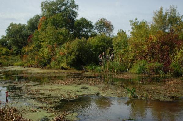 DSC_5308.JPG