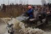 osen-2009_00095_t1.jpg