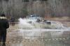 osen-2009_00105_t1.jpg