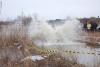 osen-2009_00181_t1.jpg