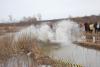 osen-2009_00197_t1.jpg