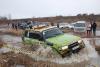 osen-2009_00203_t1.jpg