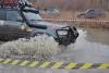 osen-2009_00231_t1.jpg