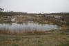 osen-2009_00239_t1.jpg