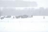 dsc_7999_t1.jpg