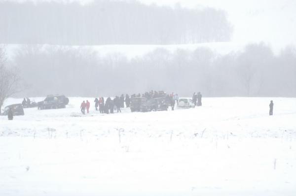 DSC_7999.JPG