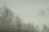 dsc_8020_t1.jpg