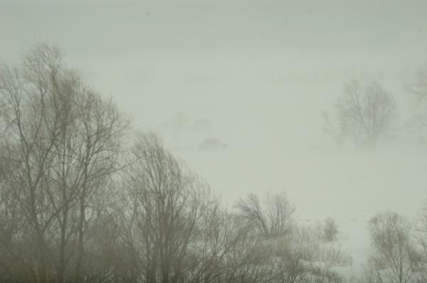 DSC_8020.JPG