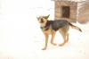dsc_8025_t1.jpg