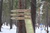 duraki2010_0002_t1.jpg