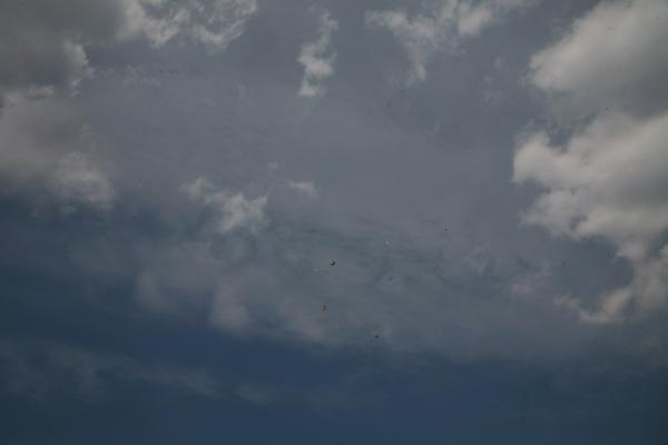 pilot-01-05-10_0044.JPG