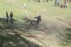 fest_160510_00116_t1.jpg