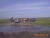 babyrgan_19-06-10_00009_t1.jpg