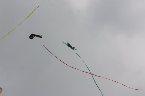 pilot_03-07-10_00155.JPG