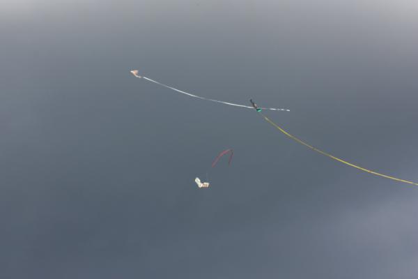 pilot_03-07-10_00202.JPG