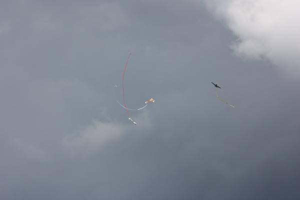pilot_03-07-10_00204.JPG