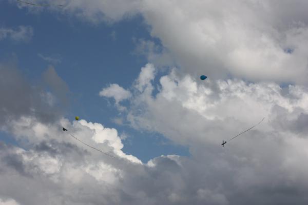 pilot_03-07-10_00242.JPG