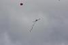 pilot_03-07-10_00247_t1.jpg