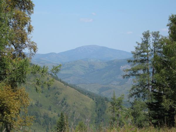 IMG_1352.JPG
