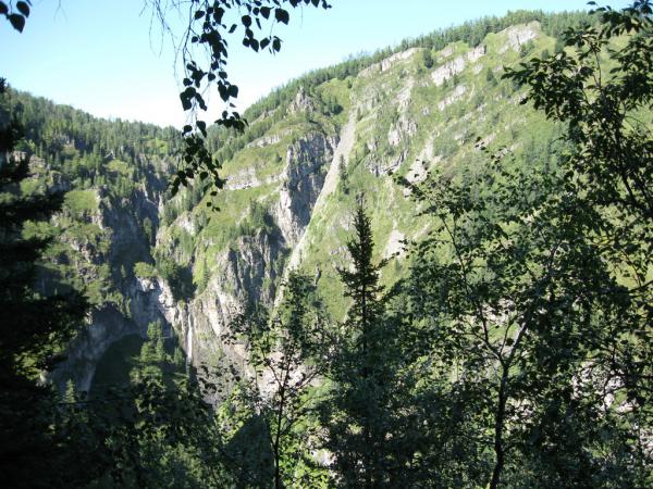 IMG_1374.JPG