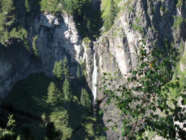 IMG_1383.JPG