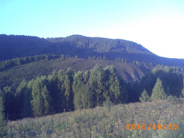 PICT0007.JPG