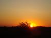 dsc06267_t1.jpg