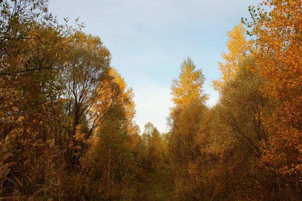DSC_4250.jpg