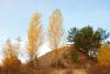 dsc_4263_t1.jpg