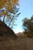 dsc_4264_t1.jpg