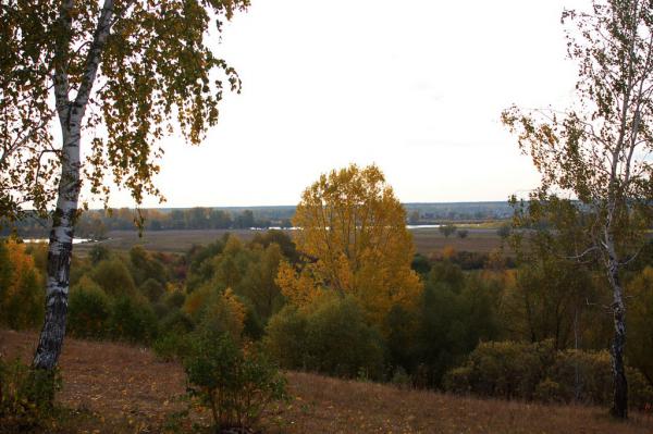 DSC_4267.jpg