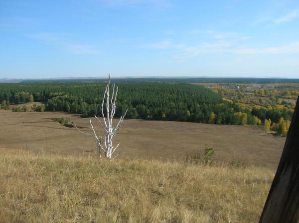 DSCN6339.jpg