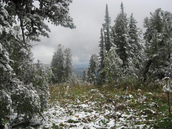 karakol_2010_00012.JPG