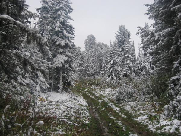 karakol_2010_00014.JPG