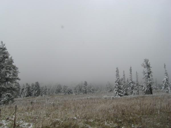 karakol_2010_00016.JPG