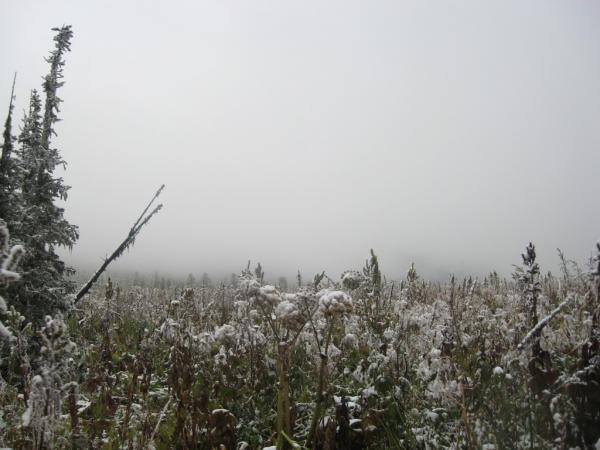 karakol_2010_00017.JPG