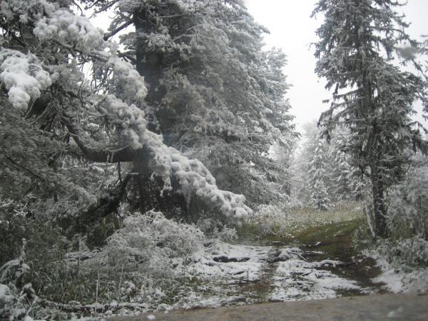 karakol_2010_00018.JPG