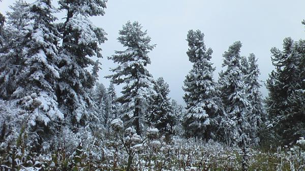 karakol_2010_00026.JPG