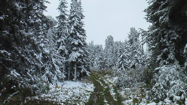 karakol_2010_00031.jpg