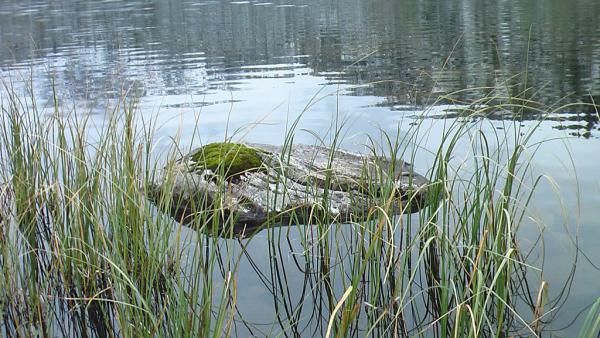 karakol_2010_00047.JPG
