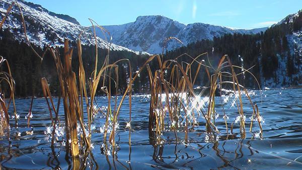 karakol-2_2010_00013.JPG