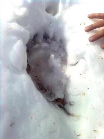 karakol-2_2010_00018.jpg