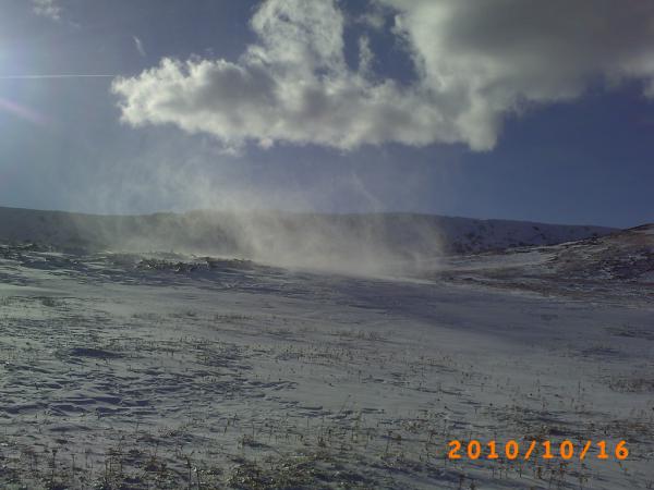PICT0061.JPG