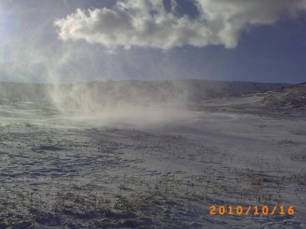 PICT0062.JPG