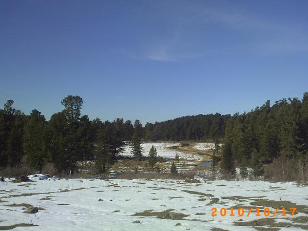 PICT0158.JPG
