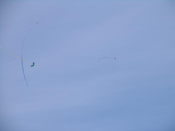 pilot070311_00016.jpg