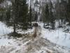 solonovka060311_00035_t1.jpg